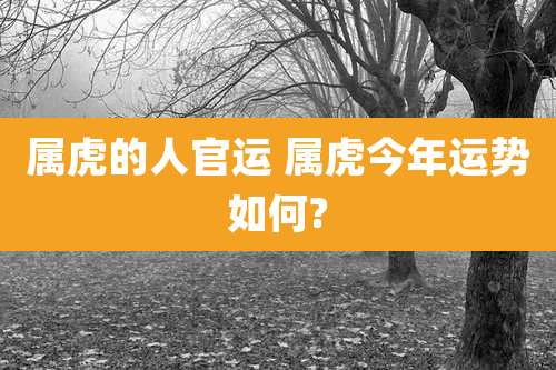 属虎的人官运 属虎今年运势如何?