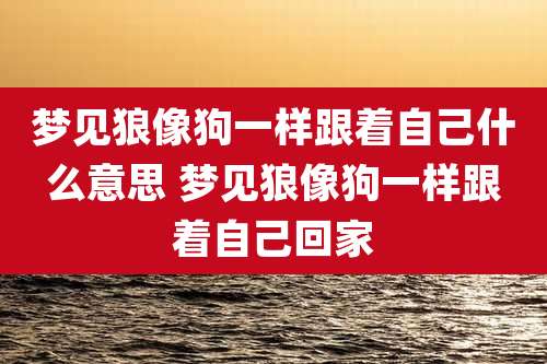 梦见狼像狗一样跟着自己什么意思 梦见狼像狗一样跟着自己回家