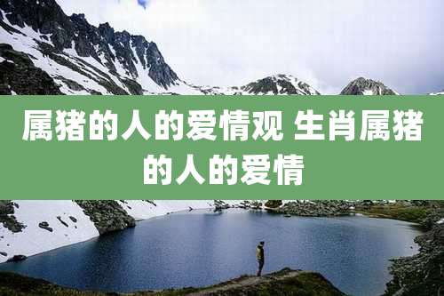 属猪的人的爱情观 生肖属猪的人的爱情