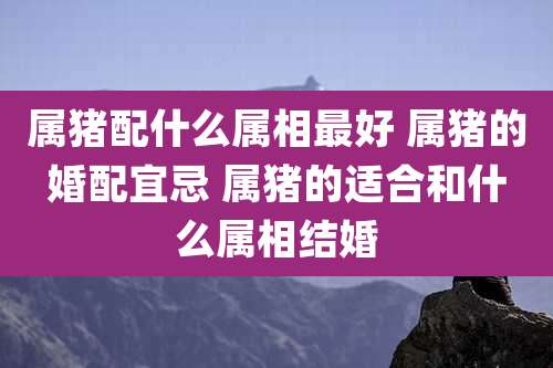 属猪配什么属相最好 属猪的婚配宜忌 属猪的适合和什么属相结婚