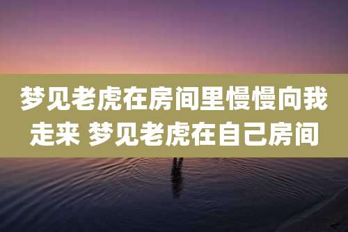 梦见老虎在房间里慢慢向我走来 梦见老虎在自己房间