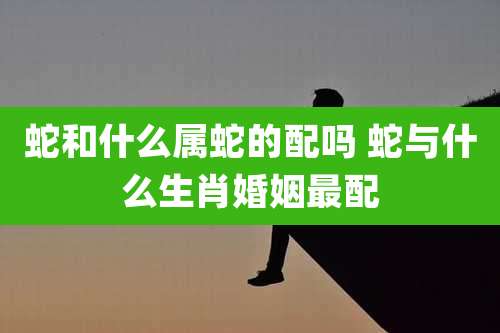 蛇和什么属蛇的配吗 蛇与什么生肖婚姻最配