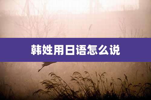 韩姓用日语怎么说