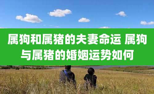 属狗和属猪的夫妻命运 属狗与属猪的婚姻运势如何