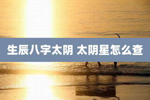 生辰八字太阴 太阴星怎么查