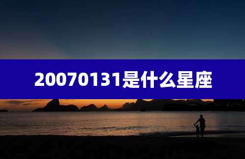 20070131是什么星座