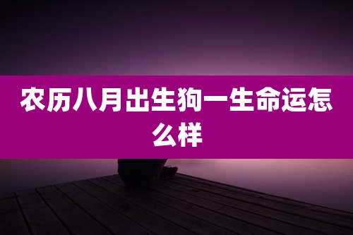 农历八月出生狗一生命运怎么样