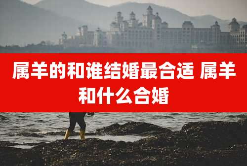 属羊的和谁结婚最合适 属羊和什么合婚