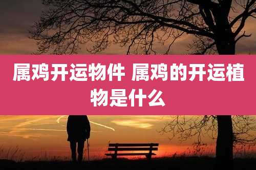 属鸡开运物件 属鸡的开运植物是什么