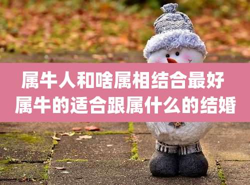 属牛人和啥属相结合最好 属牛的适合跟属什么的结婚