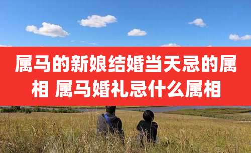 属马的新娘结婚当天忌的属相 属马婚礼忌什么属相