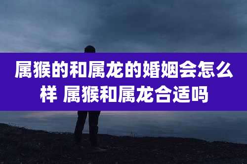 属猴的和属龙的婚姻会怎么样 属猴和属龙合适吗