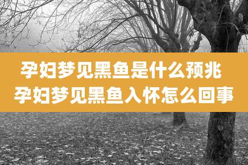 孕妇梦见黑鱼是什么预兆 孕妇梦见黑鱼入怀怎么回事
