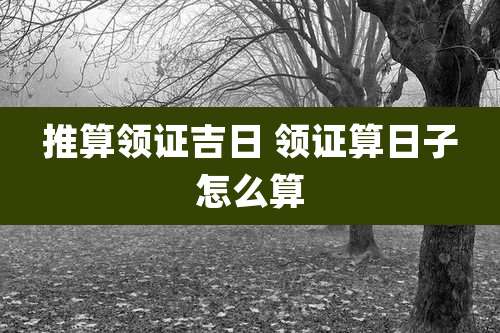 推算领证吉日 领证算日子怎么算