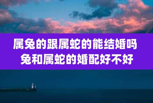 属兔的跟属蛇的能结婚吗 兔和属蛇的婚配好不好