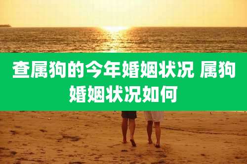 查属狗的今年婚姻状况 属狗婚姻状况如何