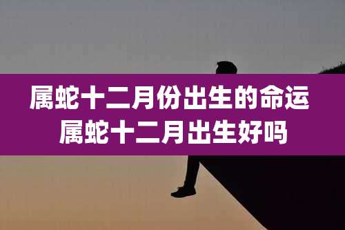 属蛇十二月份出生的命运 属蛇十二月出生好吗
