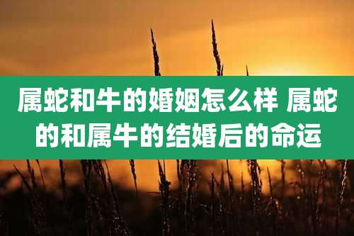 属蛇和牛的婚姻怎么样 属蛇的和属牛的结婚后的命运