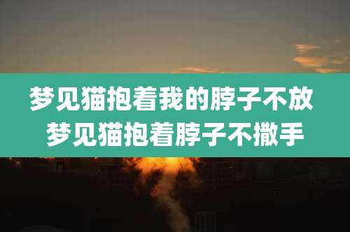 梦见猫抱着我的脖子不放 梦见猫抱着脖子不撒手