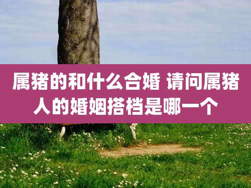 属猪的和什么合婚 请问属猪人的婚姻搭档是哪一个