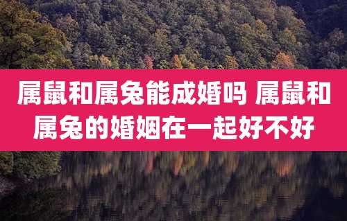 属鼠和属兔能成婚吗 属鼠和属兔的婚姻在一起好不好