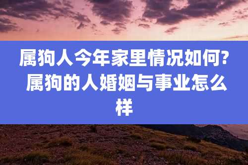属狗人今年家里情况如何? 属狗的人婚姻与事业怎么样