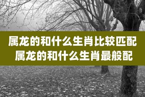 属龙的和什么生肖比较匹配 属龙的和什么生肖最般配