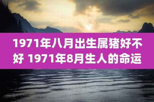 1971年八月出生属猪好不好 1971年8月生人的命运