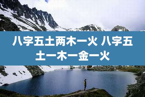 八字五土两木一火 八字五土一木一金一火
