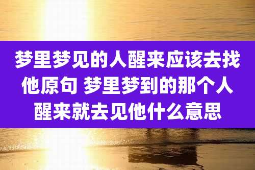 梦里梦见的人醒来应该去找他原句 梦里梦到的那个人醒来就去见他什么意思