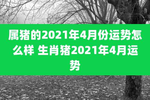 属猪的2021年4月份运势怎么样 生肖猪2021年4月运势