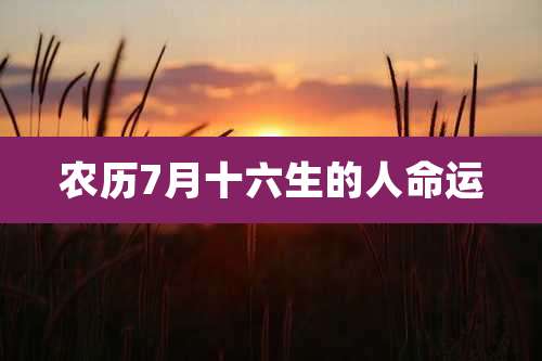 农历7月十六生的人命运