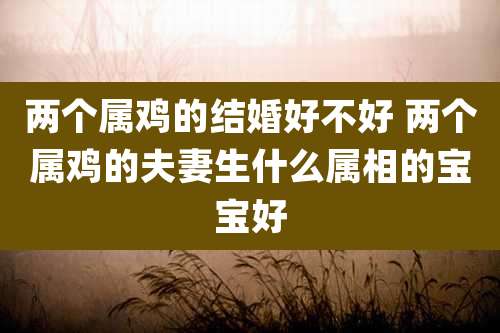 两个属鸡的结婚好不好 两个属鸡的夫妻生什么属相的宝宝好