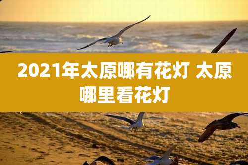 2021年太原哪有花灯 太原哪里看花灯