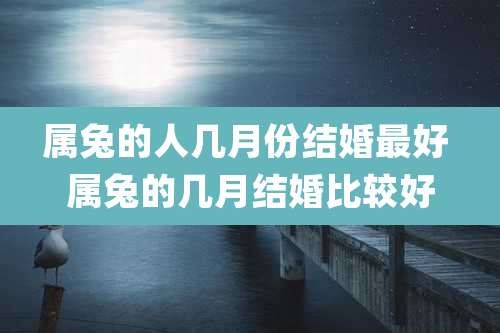 属兔的人几月份结婚最好 属兔的几月结婚比较好