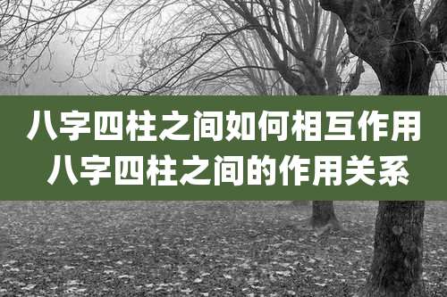 八字四柱之间如何相互作用 八字四柱之间的作用关系