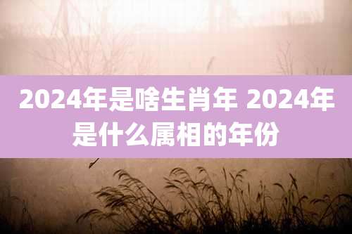 2024年是啥生肖年 2024年是什么属相的年份