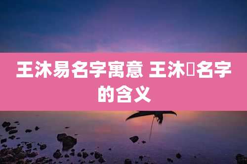 王沐易名字寓意 王沐垚名字的含义