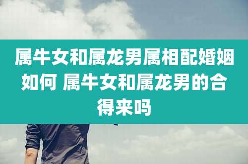 属牛女和属龙男属相配婚姻如何 属牛女和属龙男的合得来吗