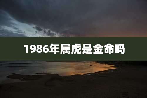 1986年属虎是金命吗