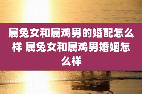 属兔女和属鸡男的婚配怎么样 属兔女和属鸡男婚姻怎么样