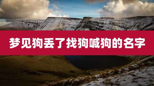 梦见狗丢了找狗喊狗的名字