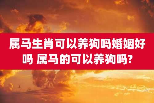 属马生肖可以养狗吗婚姻好吗 属马的可以养狗吗?