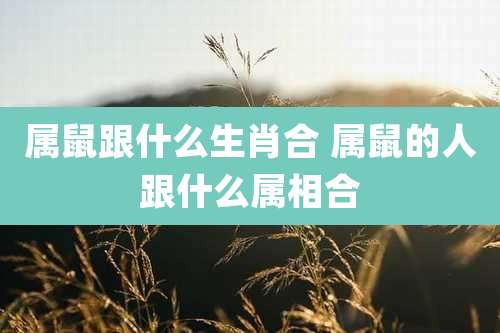 属鼠跟什么生肖合 属鼠的人跟什么属相合