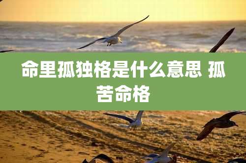 命里孤独格是什么意思 孤苦命格