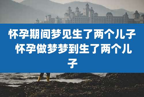 怀孕期间梦见生了两个儿子 怀孕做梦梦到生了两个儿子
