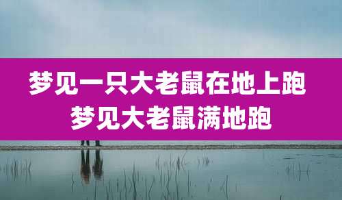 梦见一只大老鼠在地上跑 梦见大老鼠满地跑