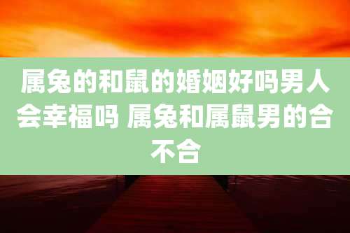 属兔的和鼠的婚姻好吗男人会幸福吗 属兔和属鼠男的合不合