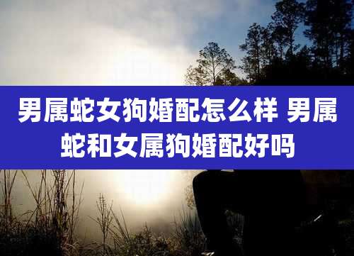 男属蛇女狗婚配怎么样 男属蛇和女属狗婚配好吗