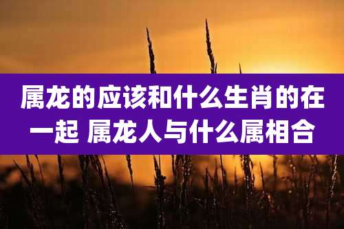 属龙的应该和什么生肖的在一起 属龙人与什么属相合